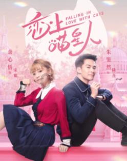 2024聊城年宵花藏宝图发布,蝴蝶兰、杜鹃等年宵花受热捧